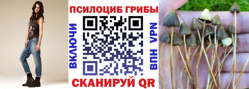 Галлюциногенные грибы мицелий  Агрыз 
